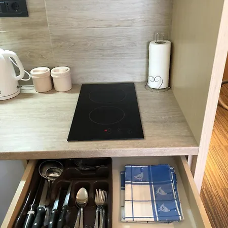 Apartman Viktor Κοπαόνικ Εξωτερικό φωτογραφία