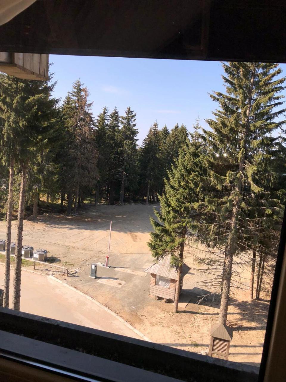 Viktor * Kopaonik